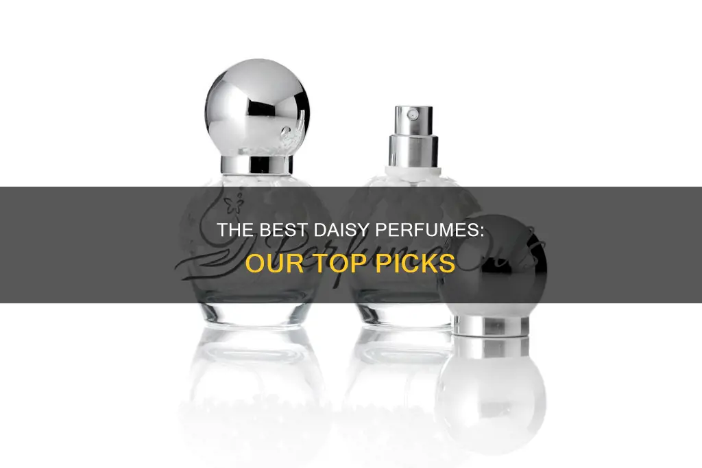 which daisy perfume smells the best