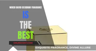Beckham Scents: The Best Fragrances for Men