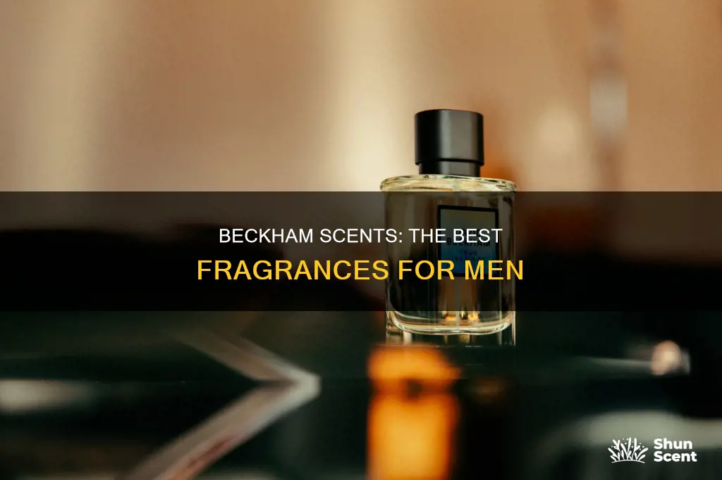 which david beckham fragrance is the best