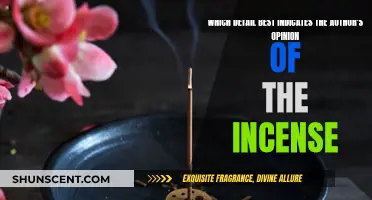 The Incense: Author's Opinion and Insights