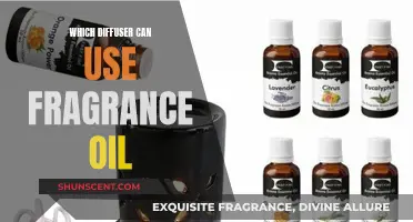 Best Diffusers for Fragrance Oils: Enhance Your Space