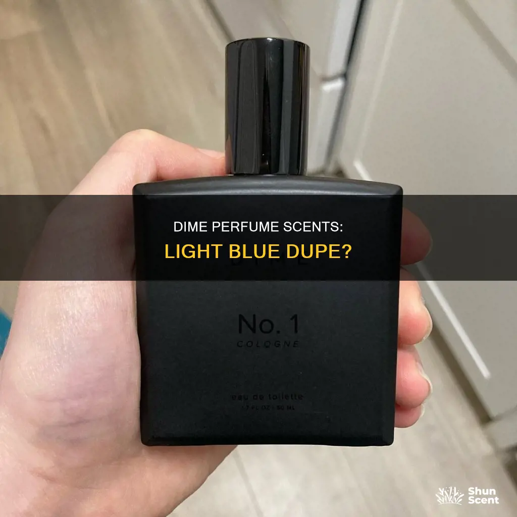 which dime perfume smells like light blue