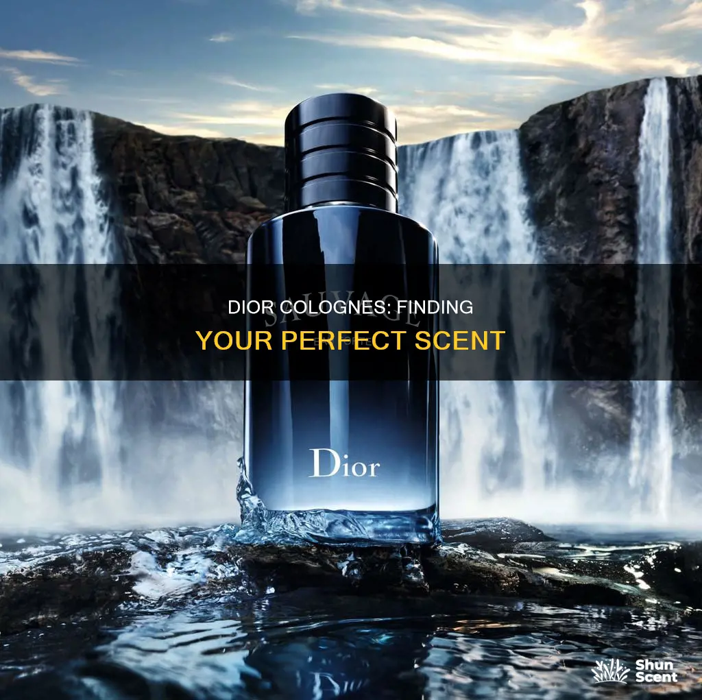 which dior cologne is best