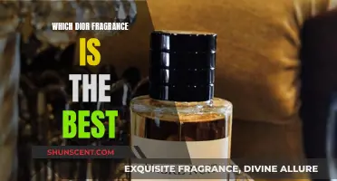 Dior Fragrances: The Ultimate Guide to Finding Your Scent