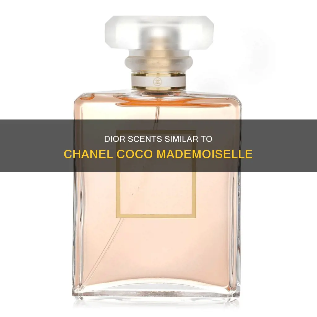 which dior perfume smells closest to coco madamoiselle