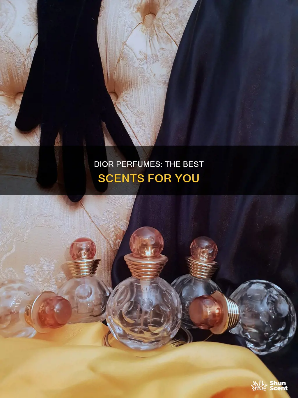 which dior perfume smells the best