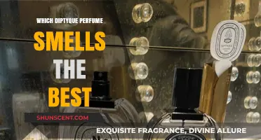 Diptyque's Best-Smelling Perfumes: A Review and Guide