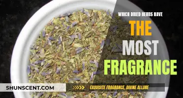 Discover the Most Fragrant Dried Herbs for Your Pantry