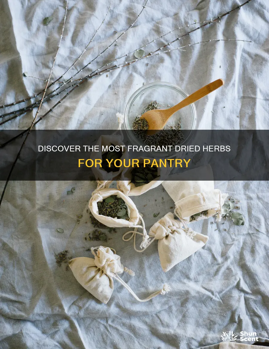 which dried herbs have the most fragrance