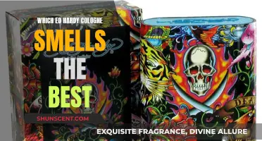 Ed Hardy Colognes: Which Scents are the Best?