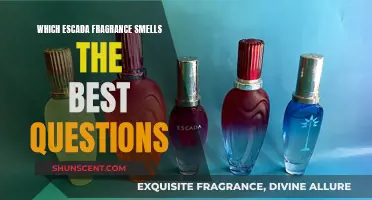 Escada's Fragrance: Which Scents are the Most Enticing?