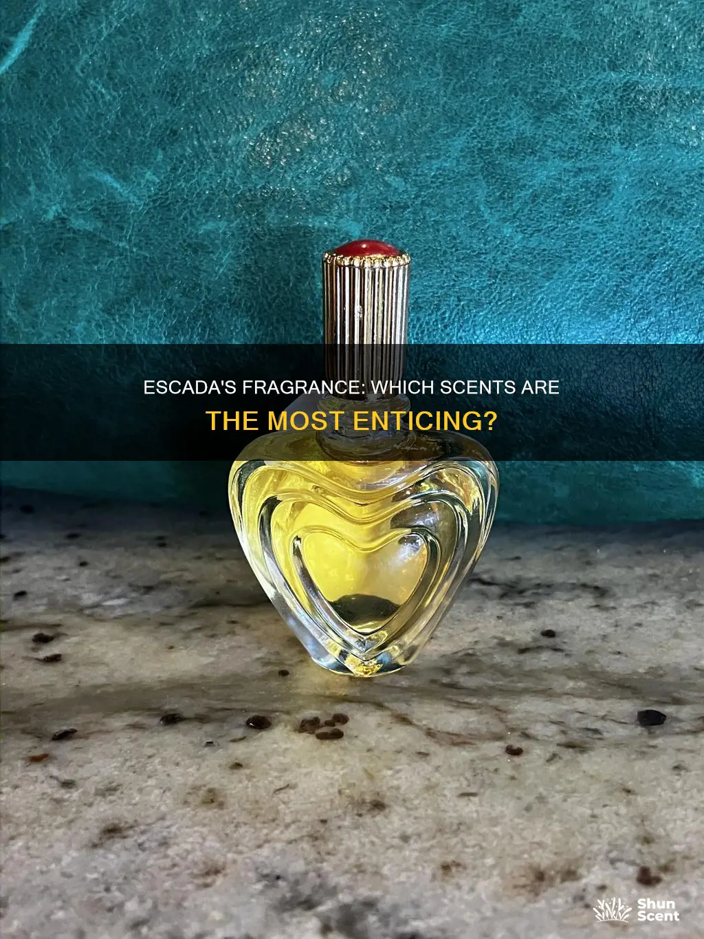 which escada fragrance smells the best questions