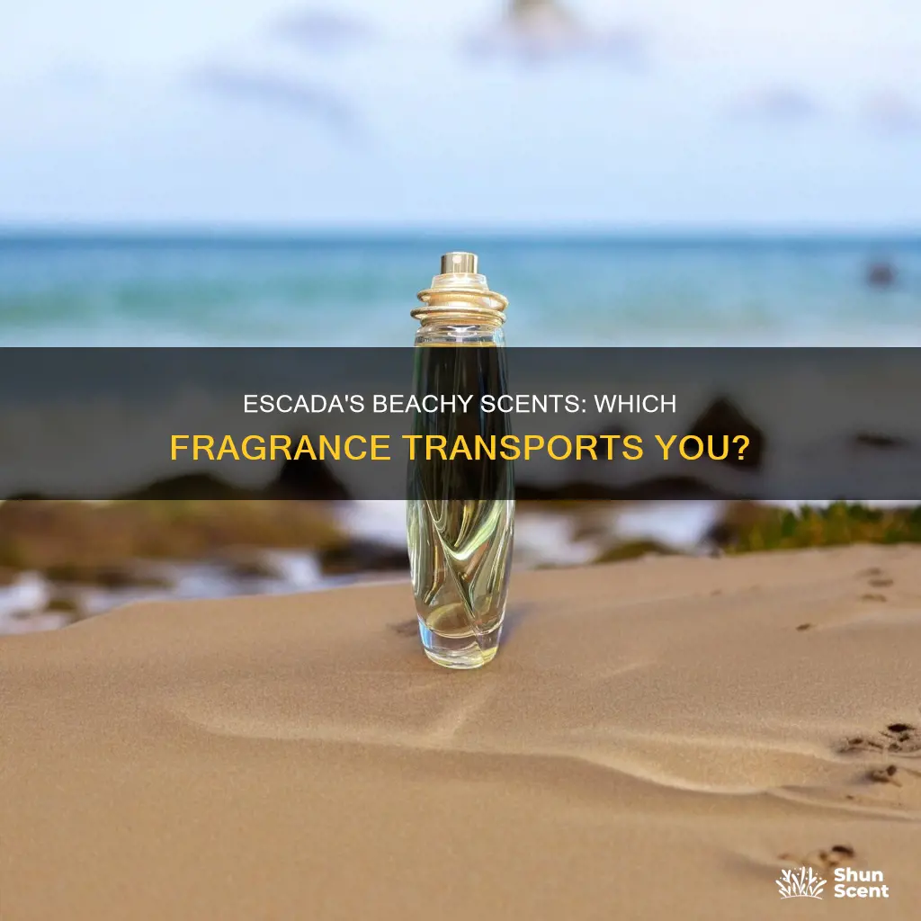 which escada perfume smells like beach