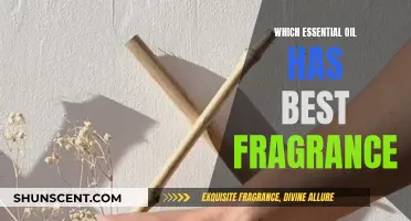 The Most Fragrant Essential Oils and Their Benefits