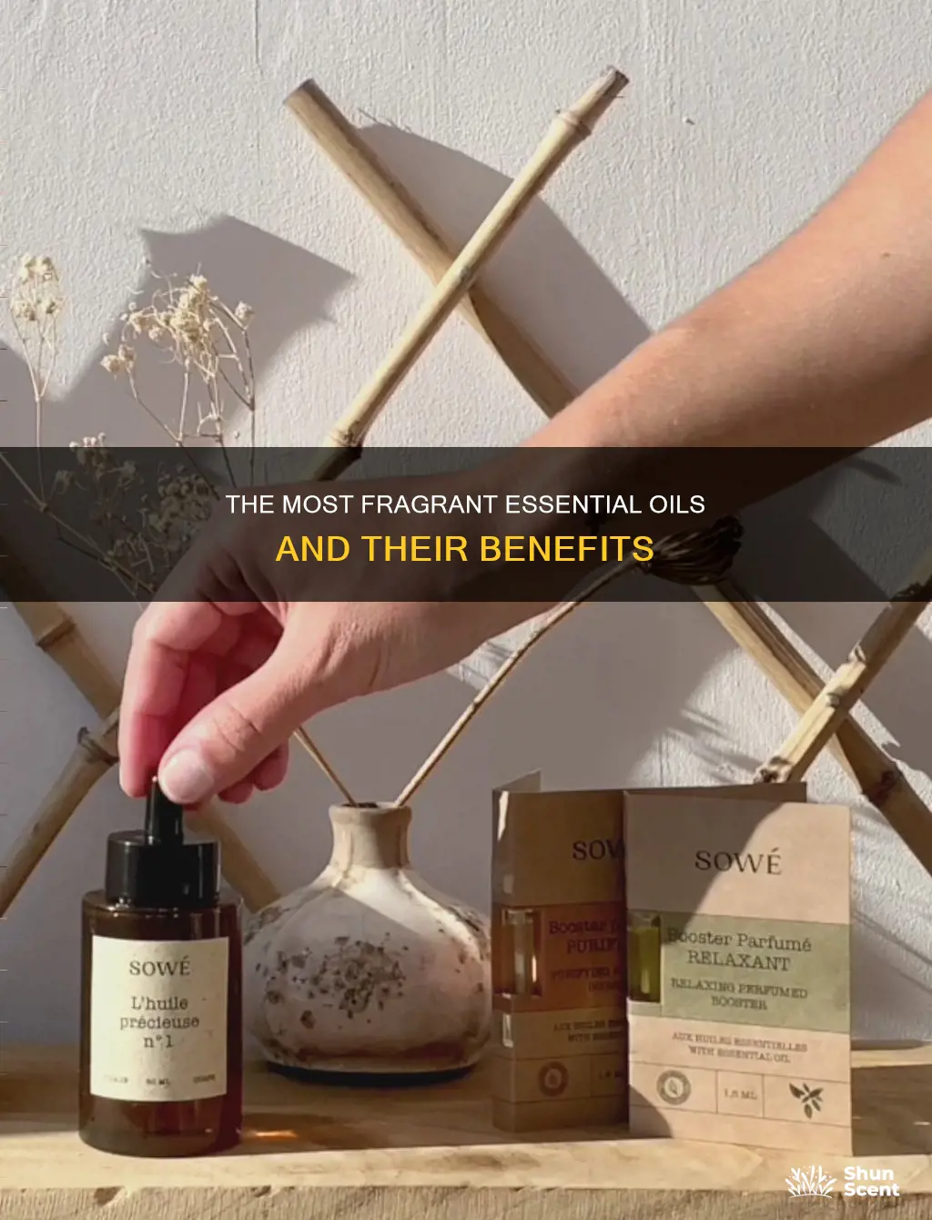 which essential oil has best fragrance