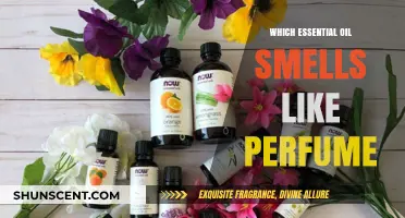 The Best Essential Oils for Perfume-Like Scents