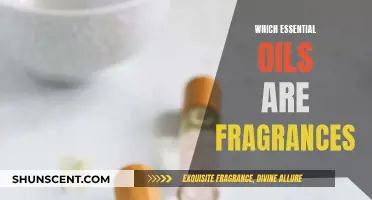 The Fragrance of Essential Oils: Aromatic Powerhouses