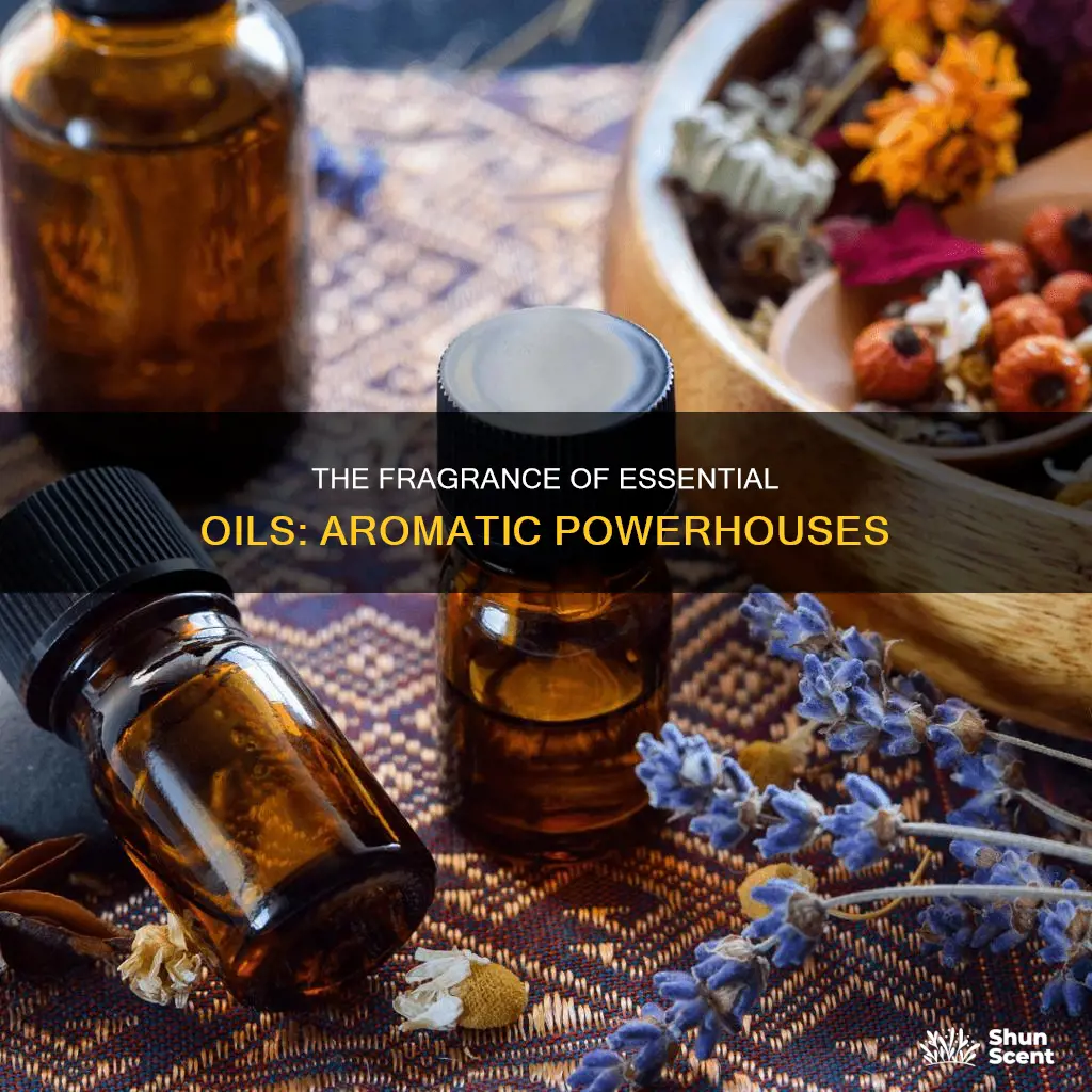 which essential oils are fragrances