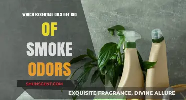 Banish Smoke Odors: Essential Oils to Freshen Your Space