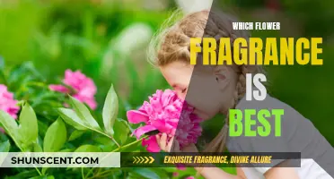 Finding the Most Enticing Flower Fragrances