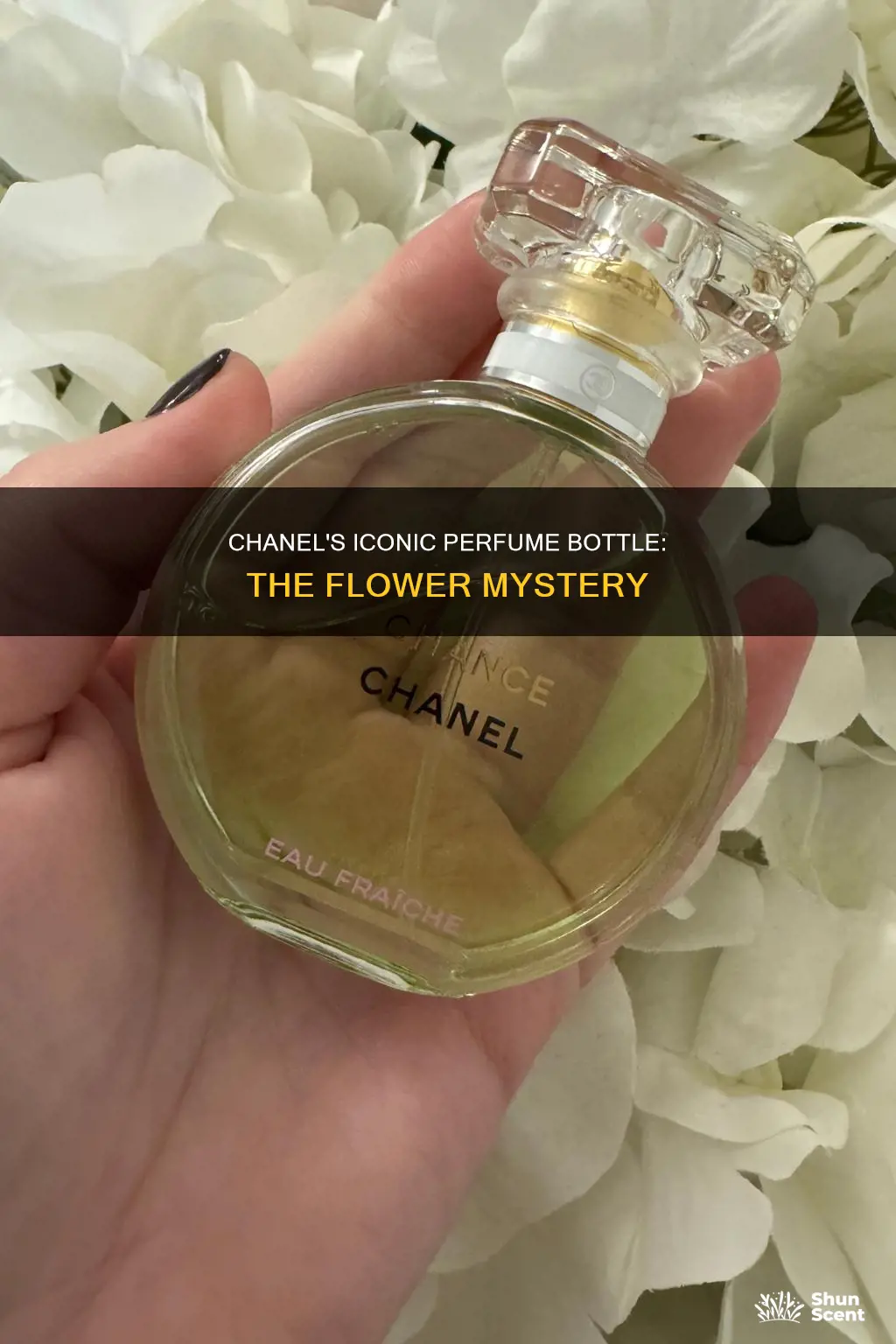 which flower on chanel perfume bottle