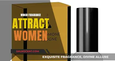 The Scent of Attraction: Fragrances that Entice Women