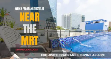 Exploring Fragrance Hotels Near MRT Stations in Singapore