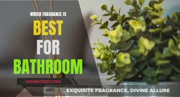 Choosing the Perfect Fragrance for Your Bathroom