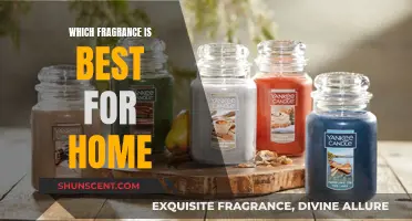 Choosing the Perfect Home Fragrance: A Guide