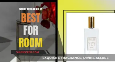 Choosing the Perfect Fragrance to Fill Your Room