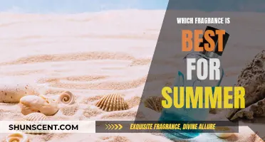 Summer Scents: Choosing the Best Fragrance for the Season