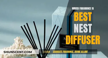 Nest Diffusers: Which Fragrances are the Best?