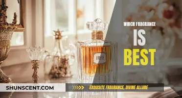 Finding the Perfect Scent: Which Fragrance is Best?