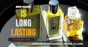Long-Lasting Fragrances: What Makes Them So Enduring?