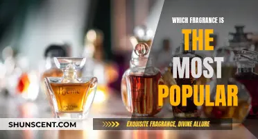 The Most Popular Fragrances and Why They're Loved