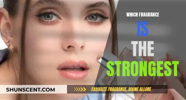The Strongest Fragrances: Long-Lasting and Powerful Scents