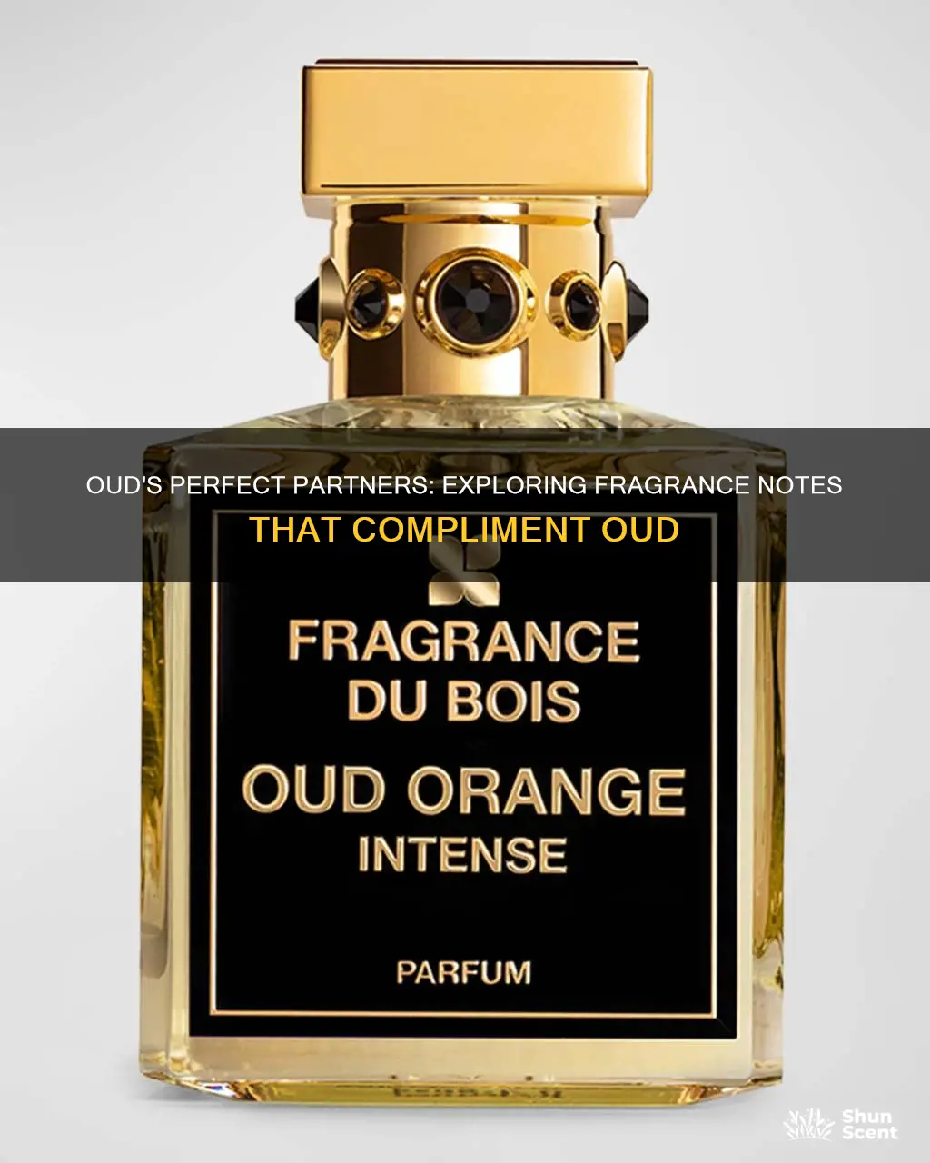 which fragrance notes pair with oud