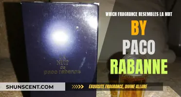 La Nuit by Paco Rabanne: Finding Similar Fragrances