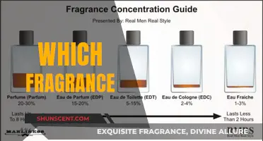 Choosing the Right Fragrance: A Guide to Scents