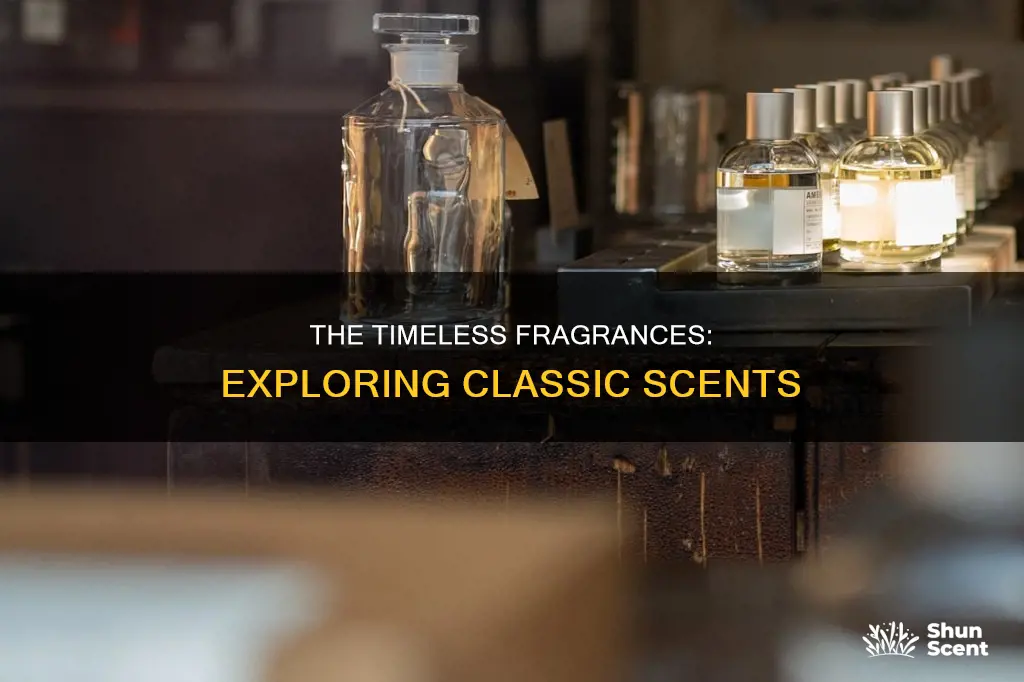 which fragrances are considered classics