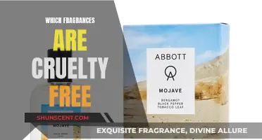 Cruelty-Free Scents: Discover Fragrances That Are Animal-Friendly
