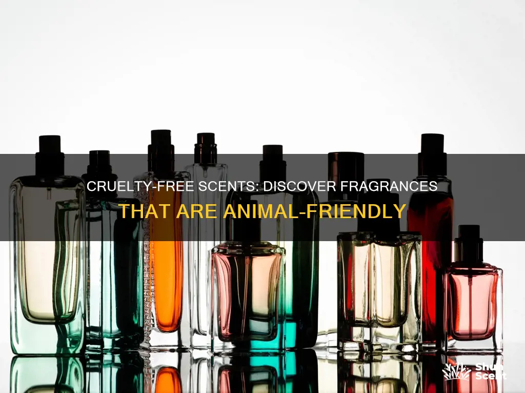 which fragrances are cruelty free