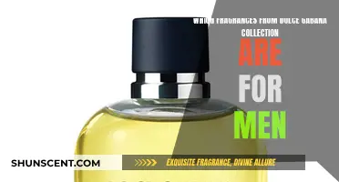 Exploring Masculine Fragrances by Dolce & Gabbana