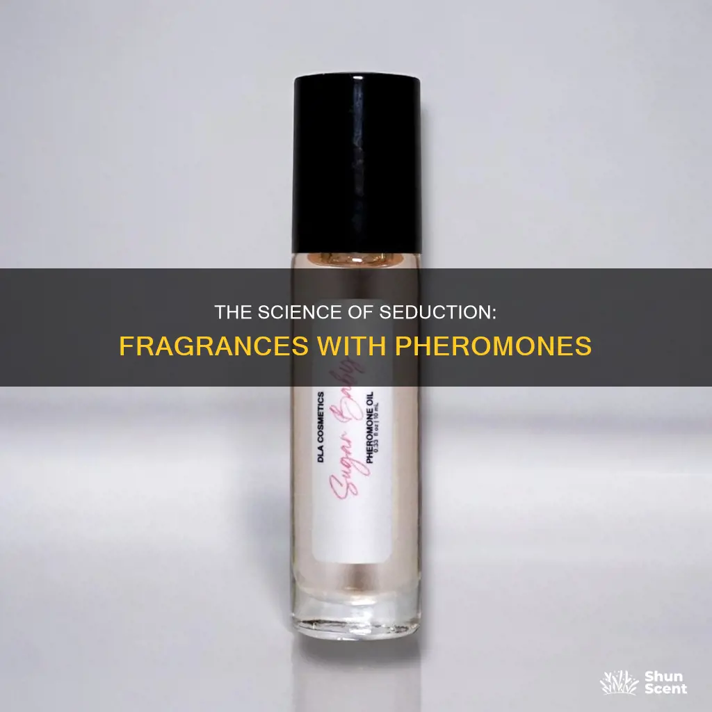which fragrances have pheromones