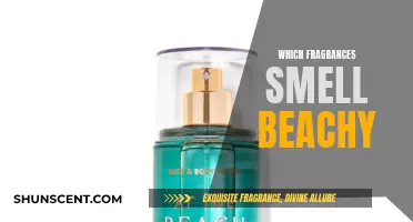 Beachy Scents: Fragrances That Evoke the Sea