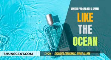 Oceanic Scents: Fragrances That Evoke the Sea's Essence