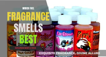 Fuel Scents: Which Fragrance Smells the Best?