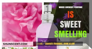 Givenchy's Sweet Scents: A Guide to the Best Perfumes