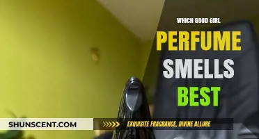 Best Good Girl Perfumes: Which Scents Are Top-Rated?