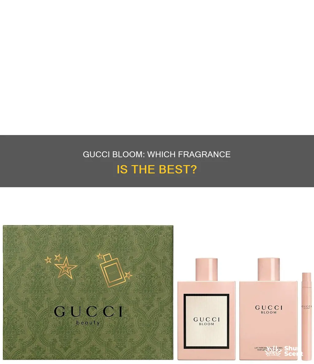 which gucci bloom perfume smells the best